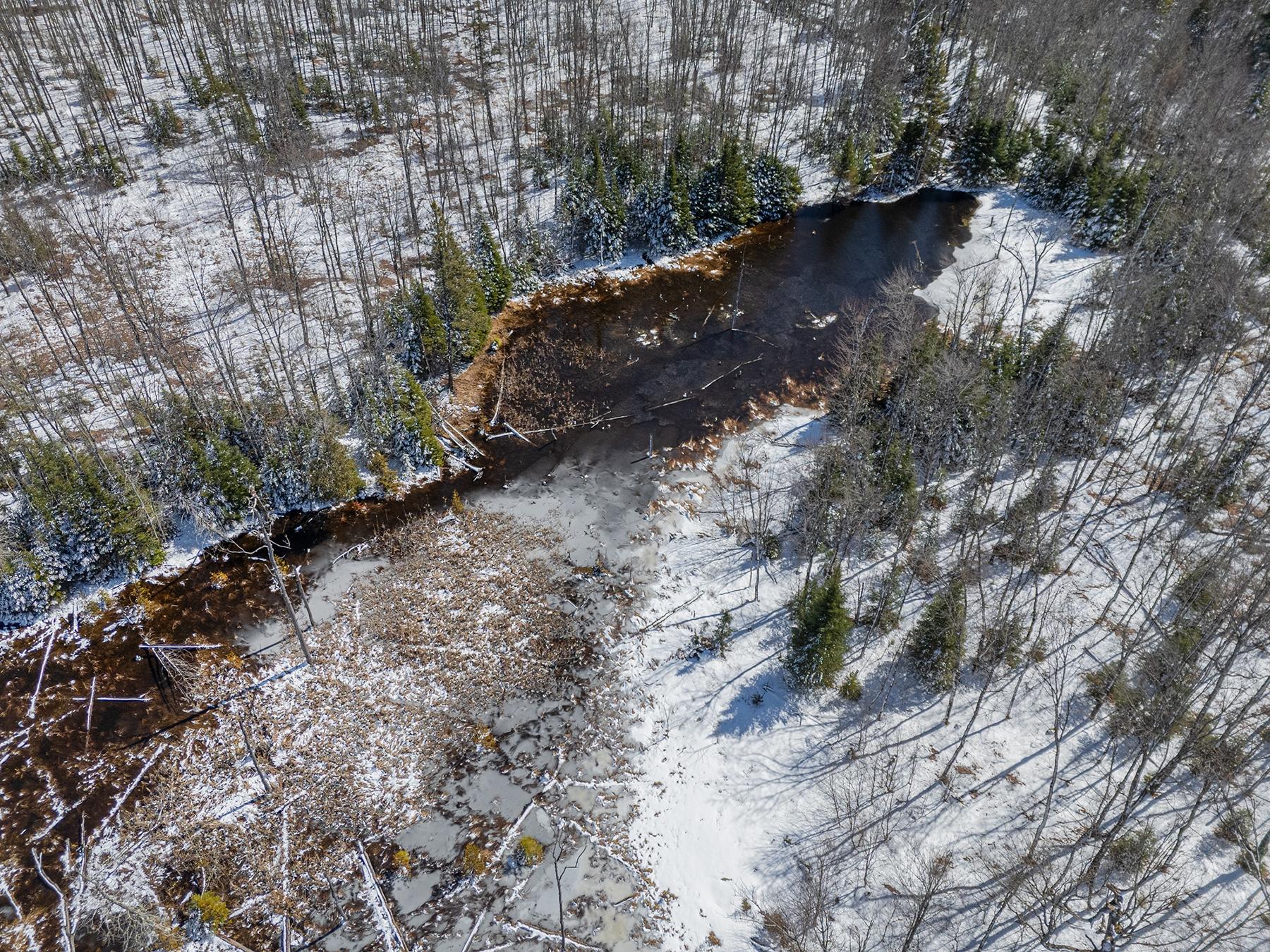 160-acre PLEASANT LAKE RD