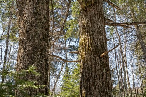 160-acre PLEASANT LAKE RD Hurley WI 54534