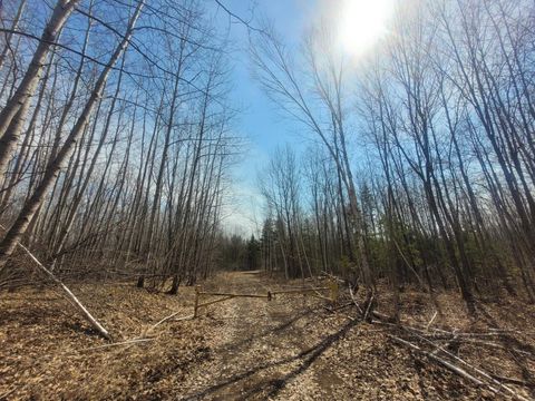 ON DEAN RD Ladysmith WI 54848