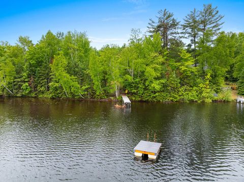 3838 BEAR LAKE LN Laona WI 54541