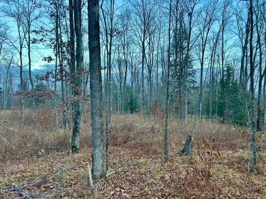 2 OLD ELCHO RD, PELICAN LAKE, WI 54463 - Image a5fcde5325b3d8c0dfa2e0af90c908fc/2157435565