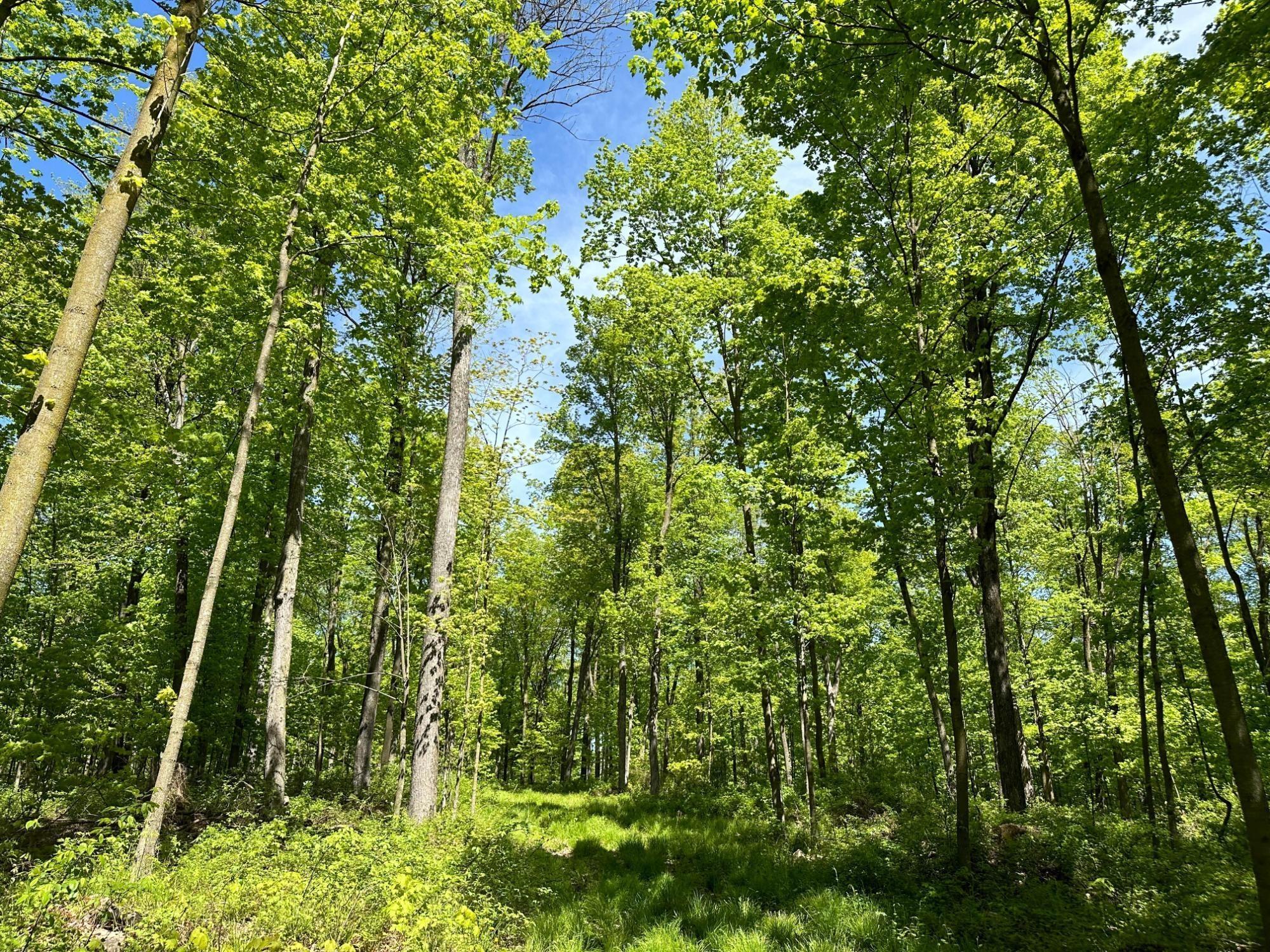 100AC ON 28TH AVE N