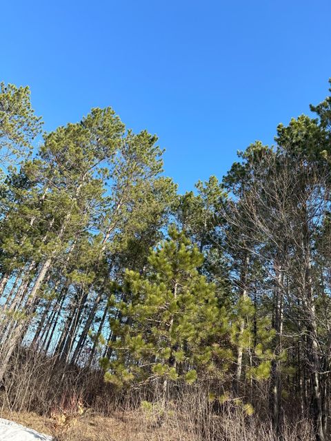 ON SPRING CREEK DR 4080-6 Tomahawk WI 54487