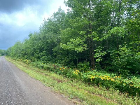 ON BEAR LAKE RD Butternut WI 54514