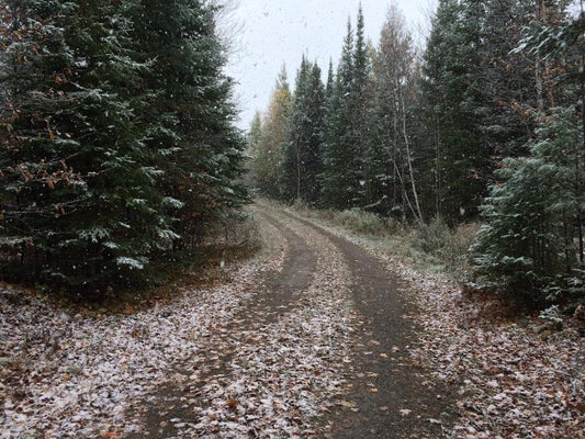1426 COUNTY RD, PELICAN LAKE, WI 54463 - Image aa5dc8ccfca75076e945966bcecd677c/297317098