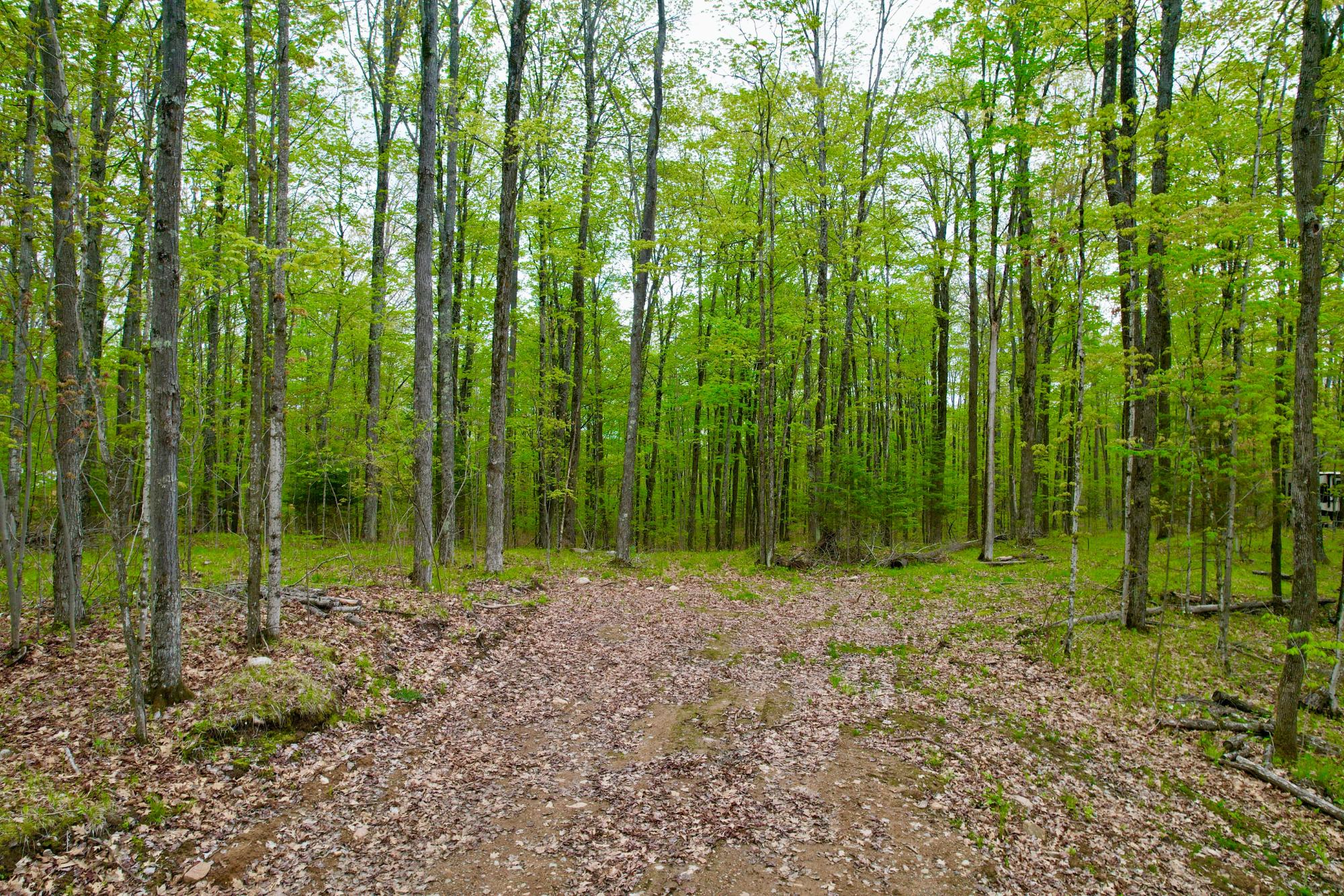 1260 LILY LAKE RD