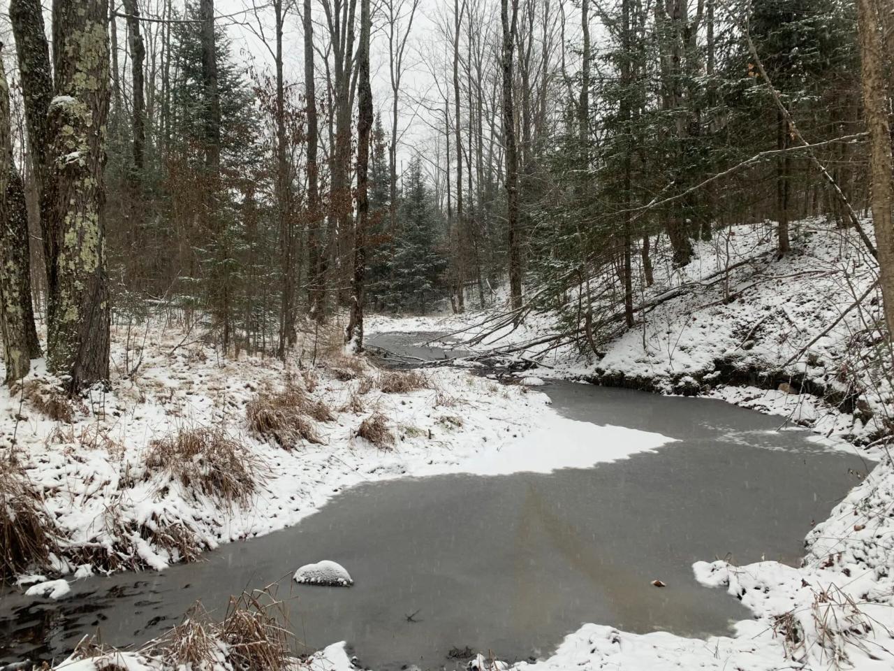 W2509 TRAPPERS RD