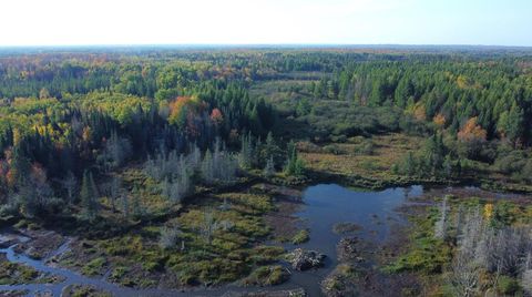 W2509 TRAPPERS RD Phillips WI 54555