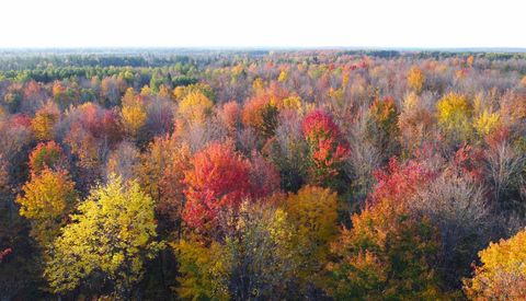 W2509 TRAPPERS RD Phillips WI 54555