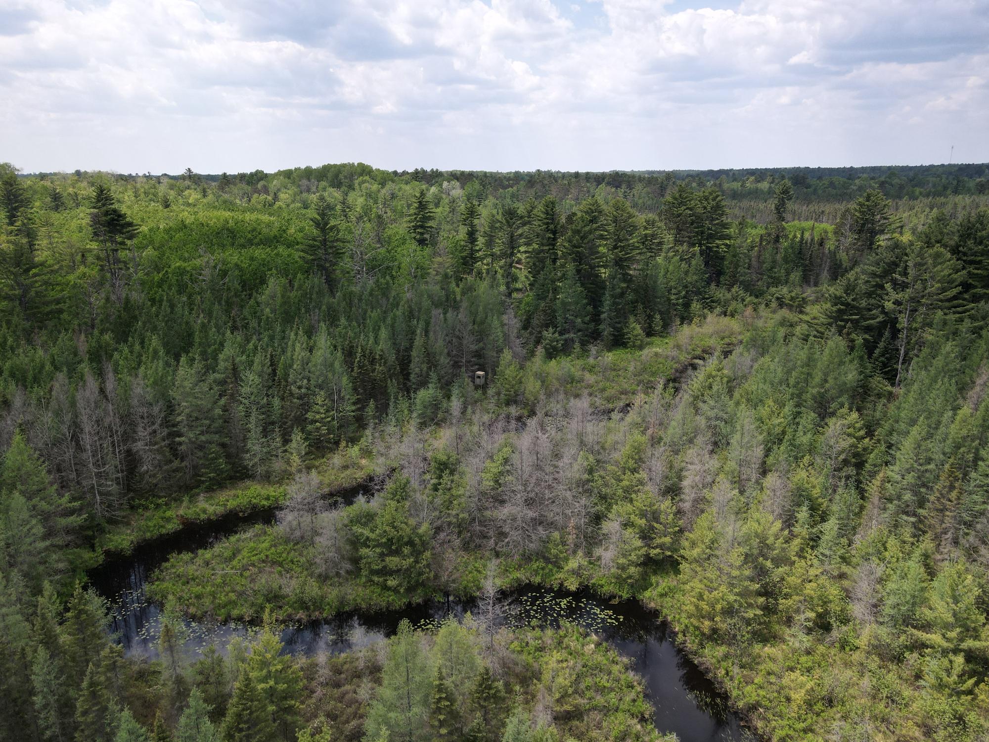 Off HWY 51 438 Acres