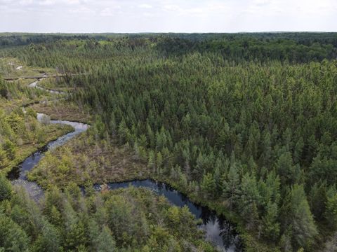 Off HWY 51 438 Acres Minocqua WI 54531
