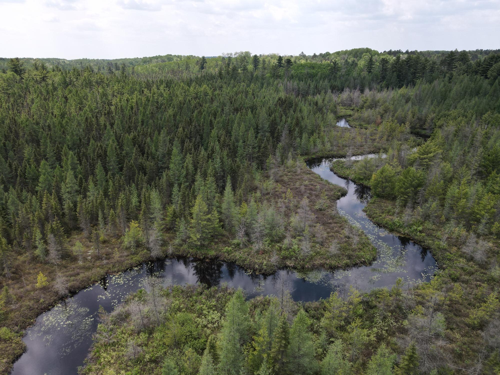 Off HWY 51 438 Acres