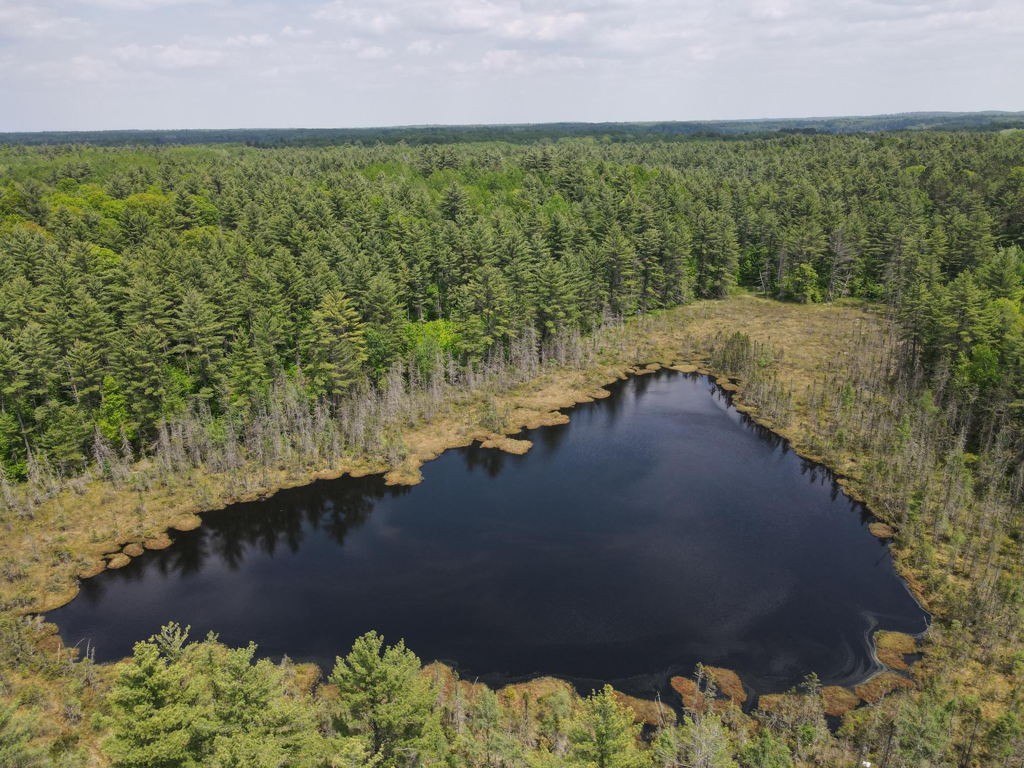 Off HWY 51 438 Acres