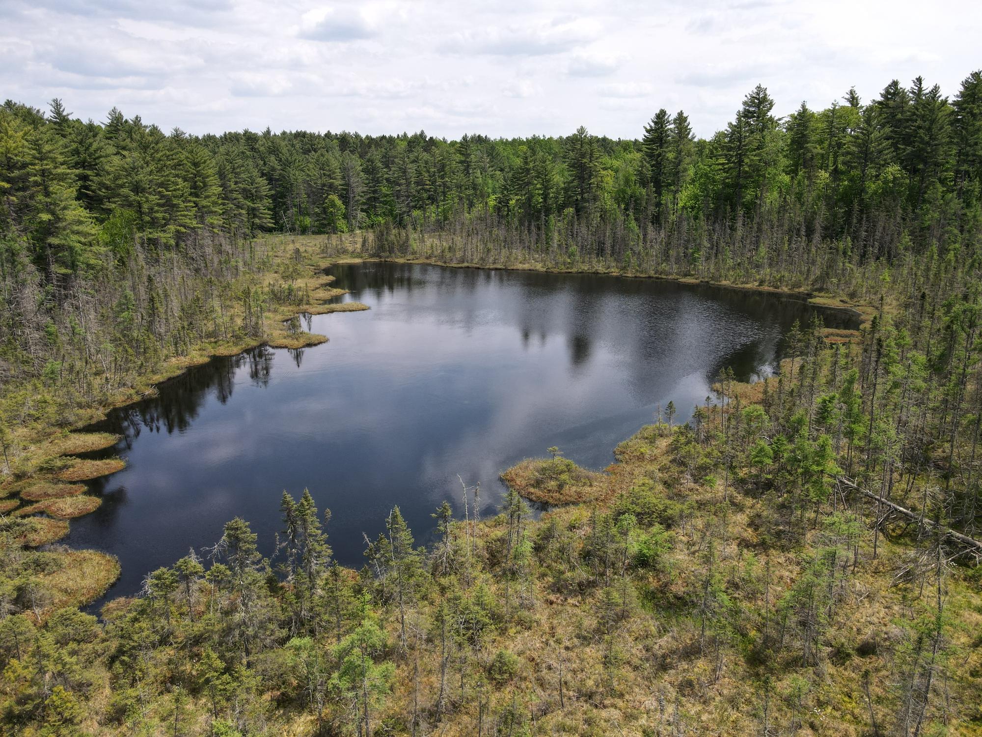 Off HWY 51 438 Acres
