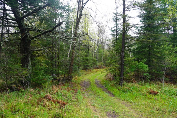 COUNTY RD X, GLEASON, WI 54435 - Image ad1941db8bfa0fa8248d2c44bcf88d87/3449157645
