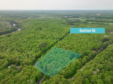 0 BUETTNER RD White Lake WI 54491