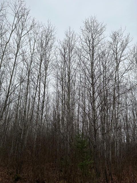 ON BURROWS LAKE RD 4067-E  WI 54487