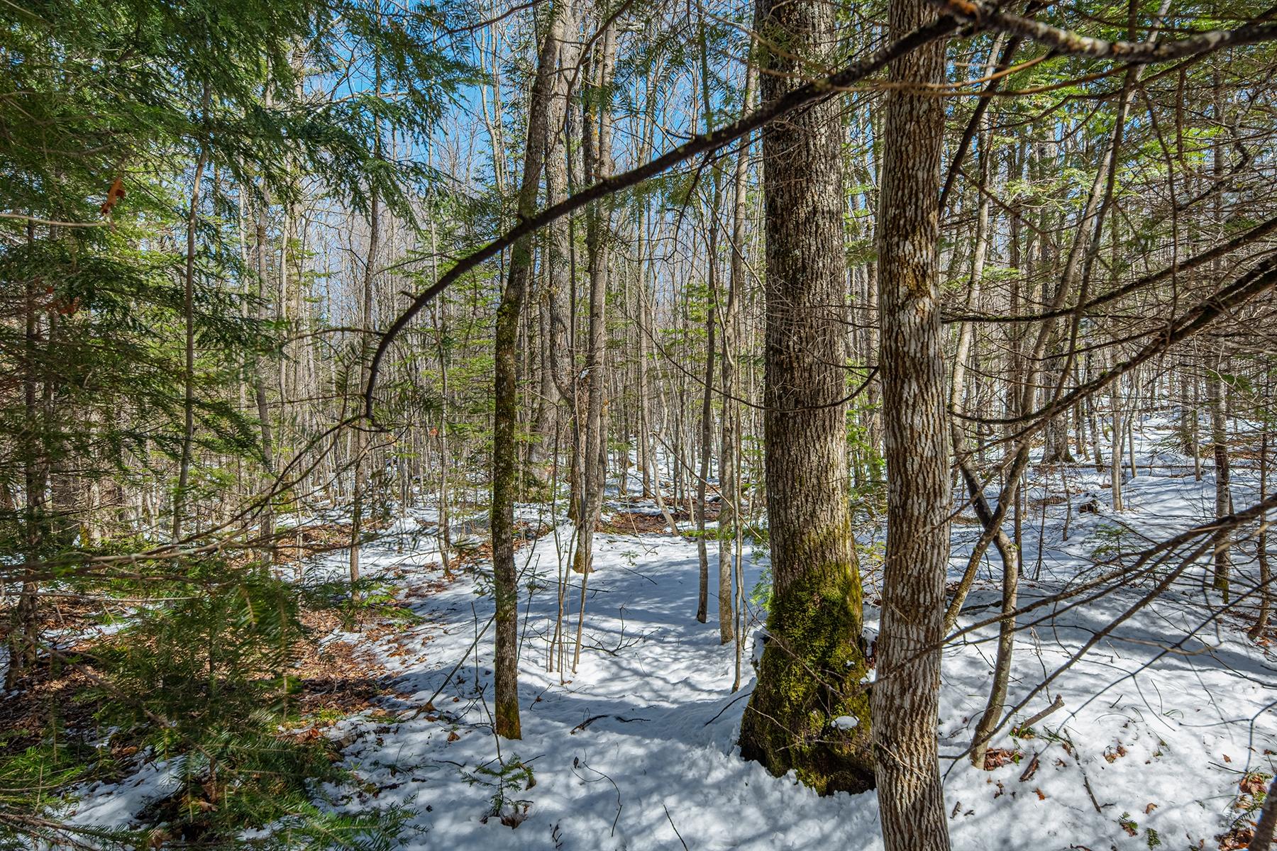 56+/- Ac HWY 77