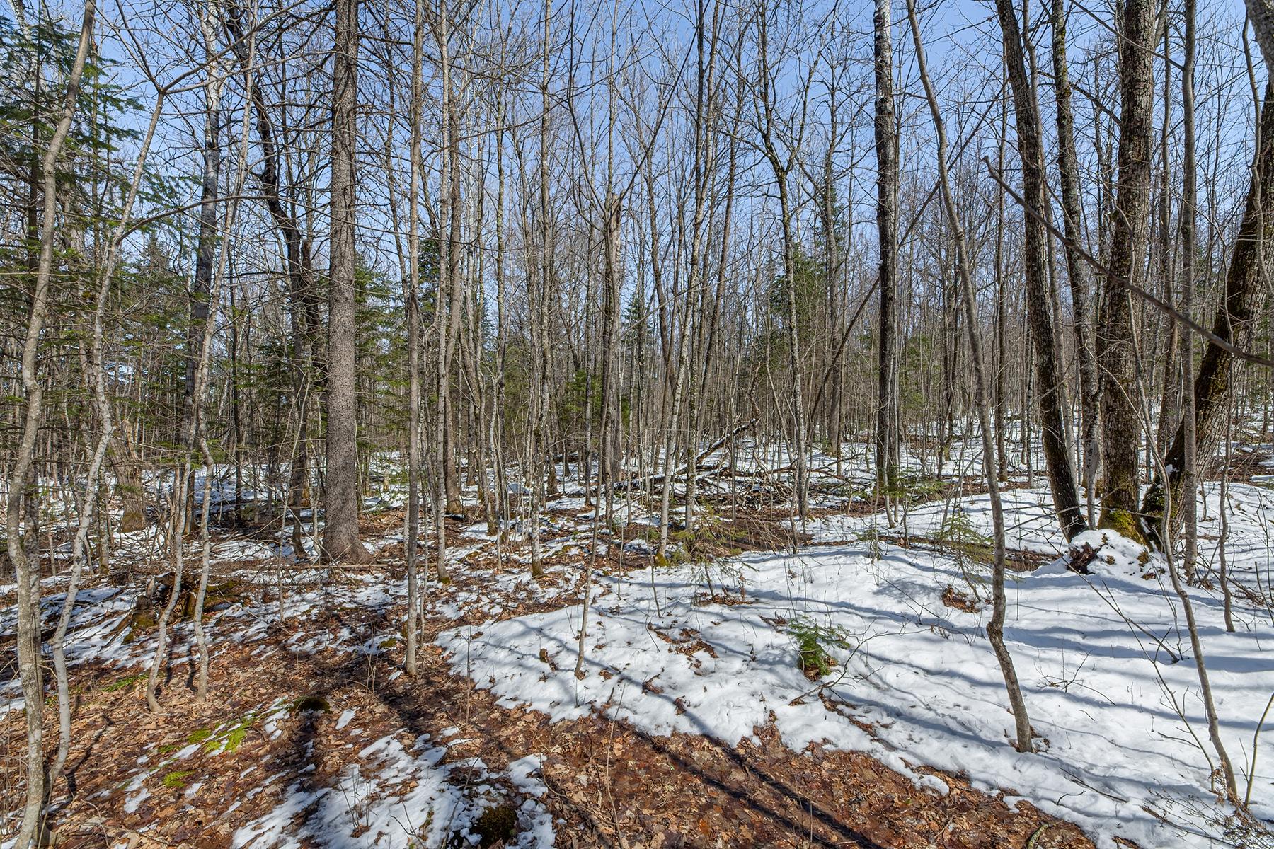 56+/- Ac HWY 77