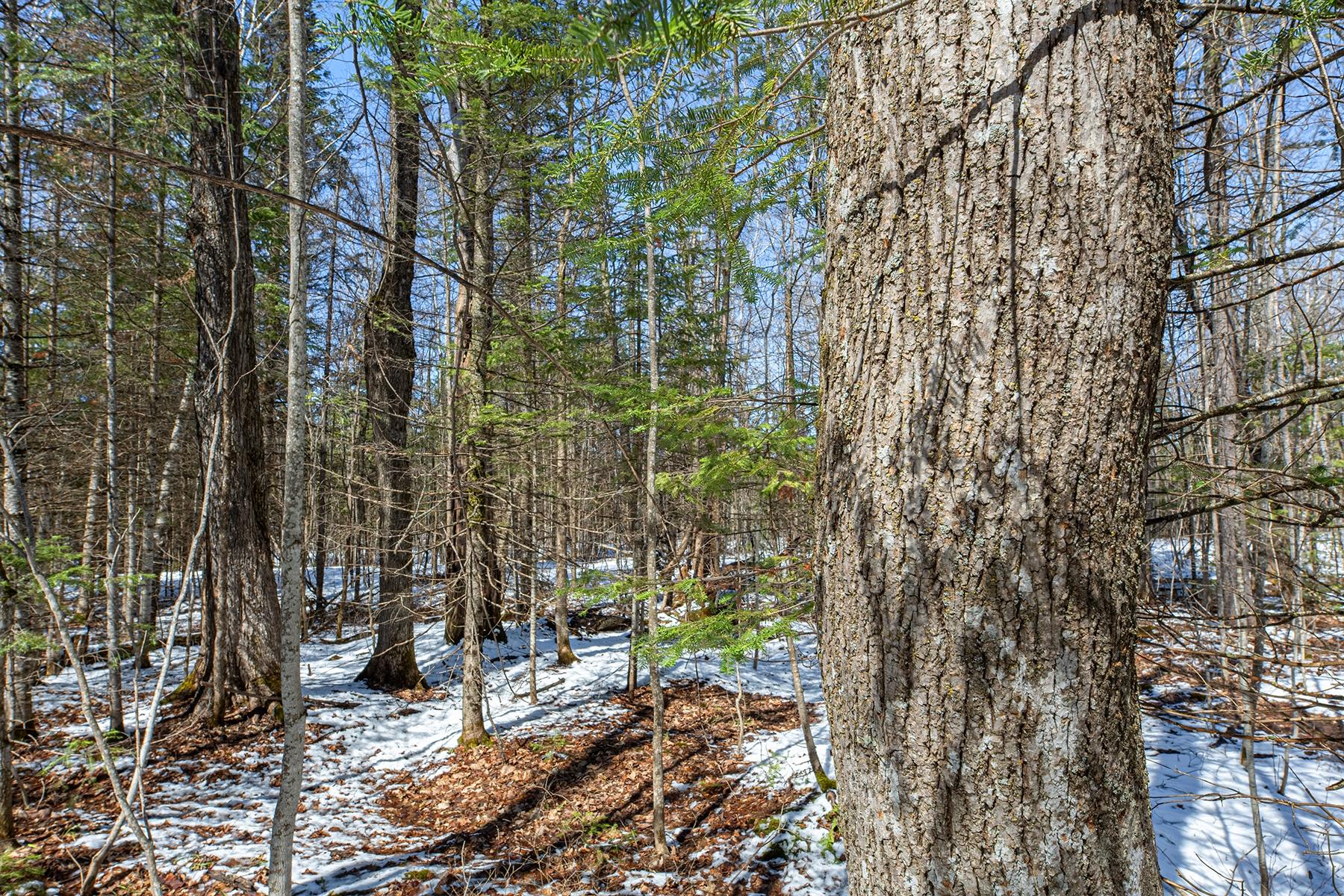 56+/- Ac HWY 77