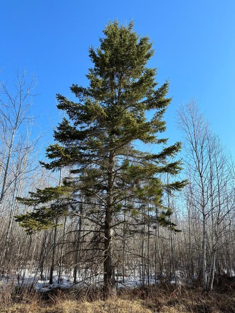 ON SPRING CREEK DR 4080-2 Tomahawk WI 54487