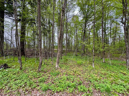 FAIRWAY DR, PICKEREL, WI 54465 - Image b0db7315dbfec5033edeeaa90ab762d6/2974297301