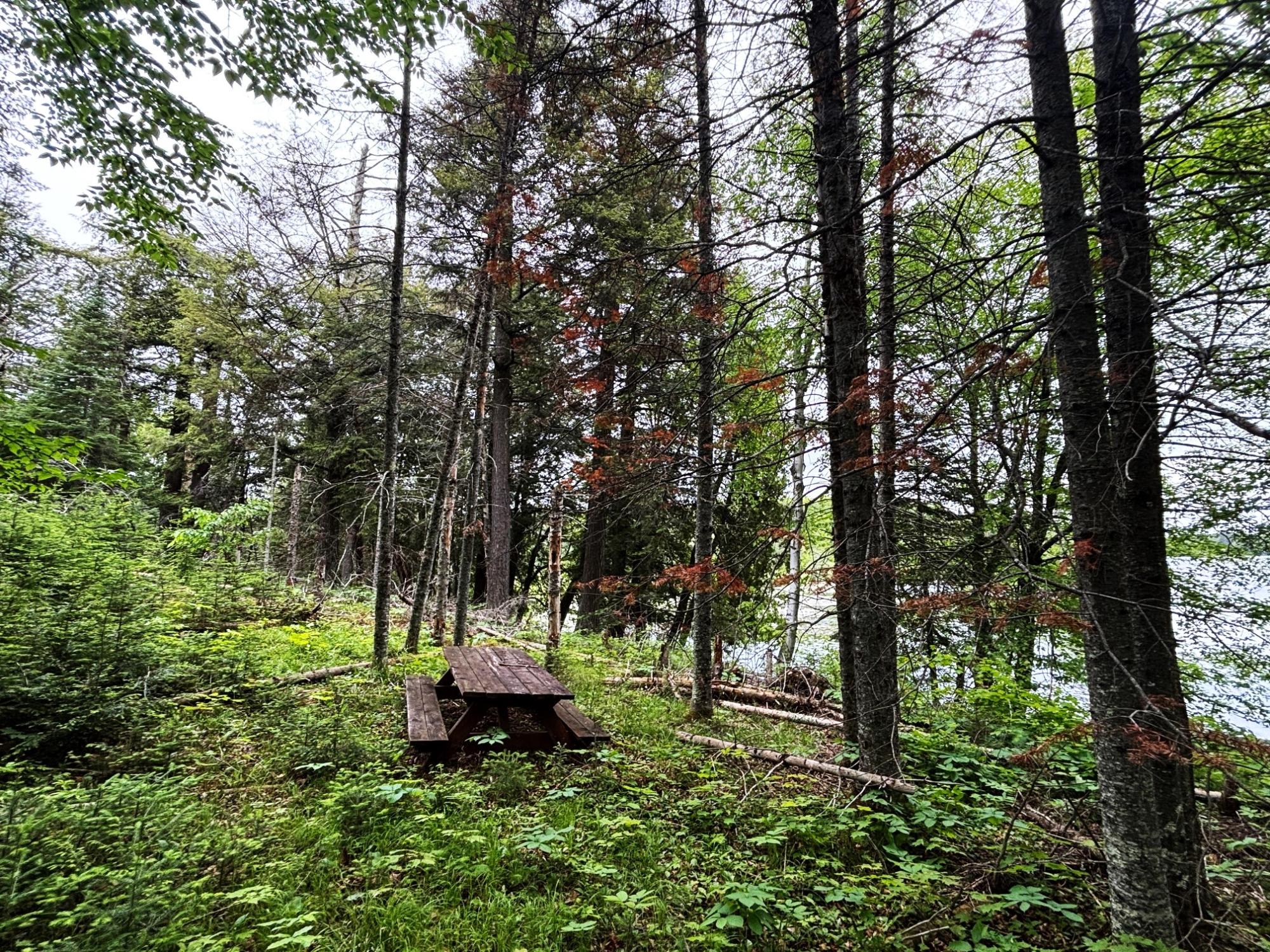 ON PARDEE LAKE RD