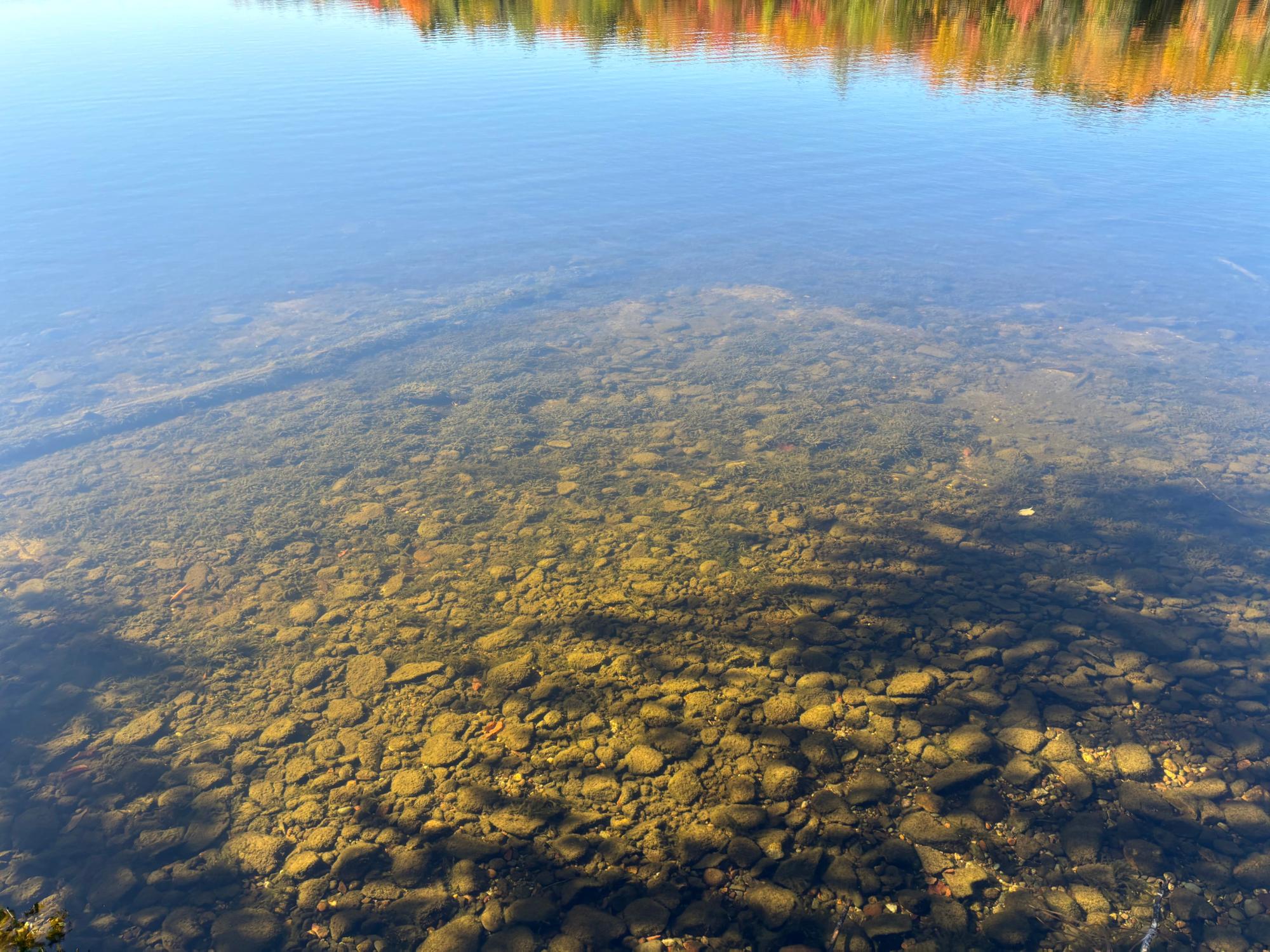 Lot 34 NICOLET SHORES LN