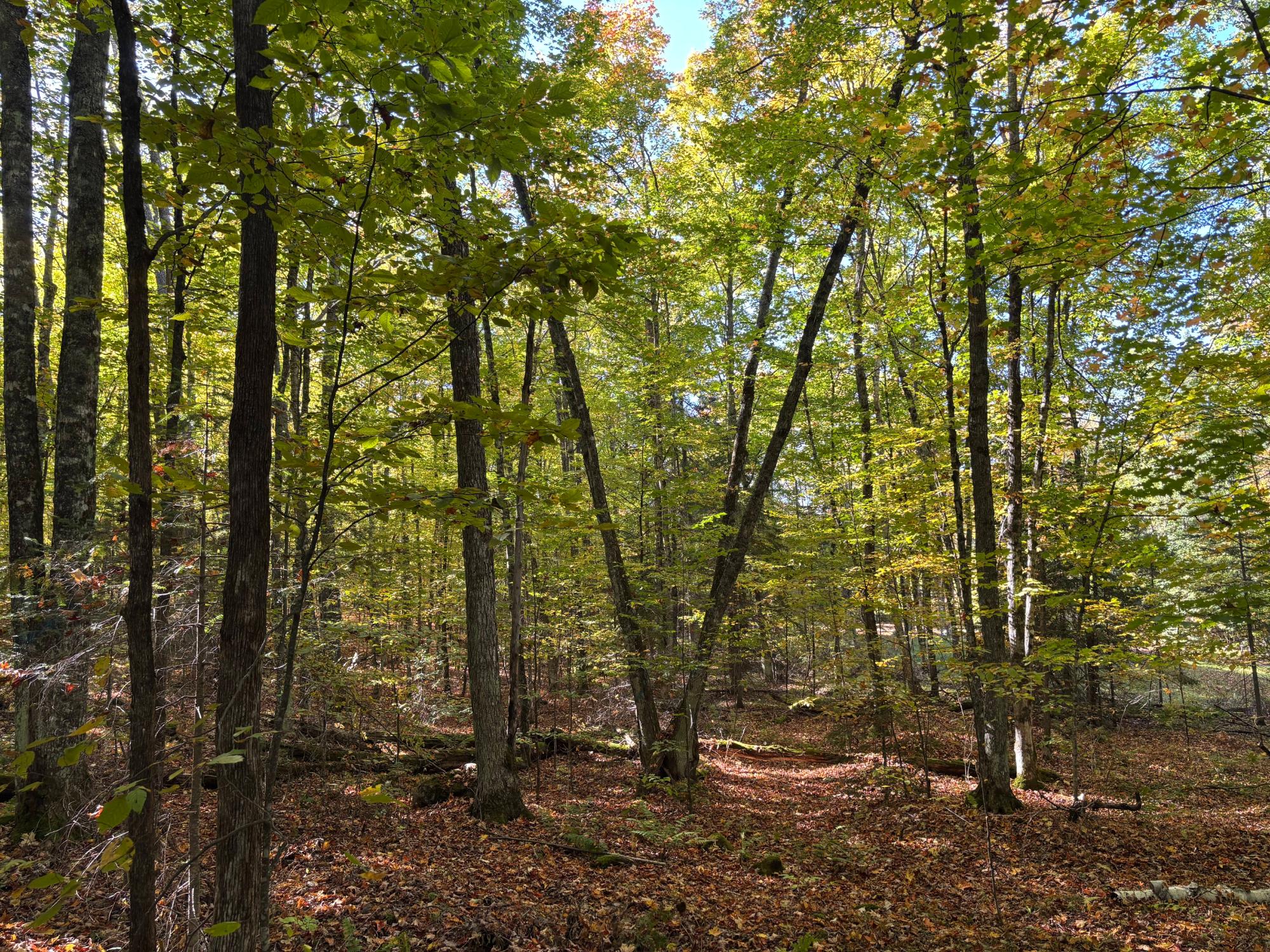 Lot 34 NICOLET SHORES LN