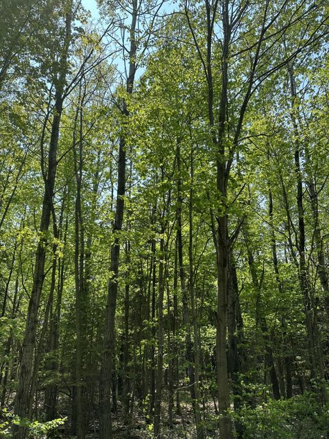 ON OTHER 8439-D  WI 54456