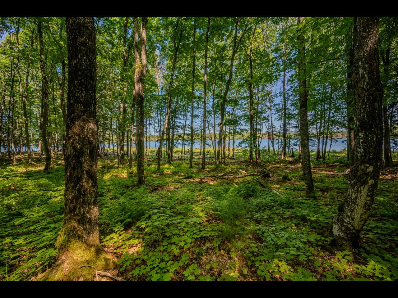 Lt 11-15 INDIAN LAKE RD