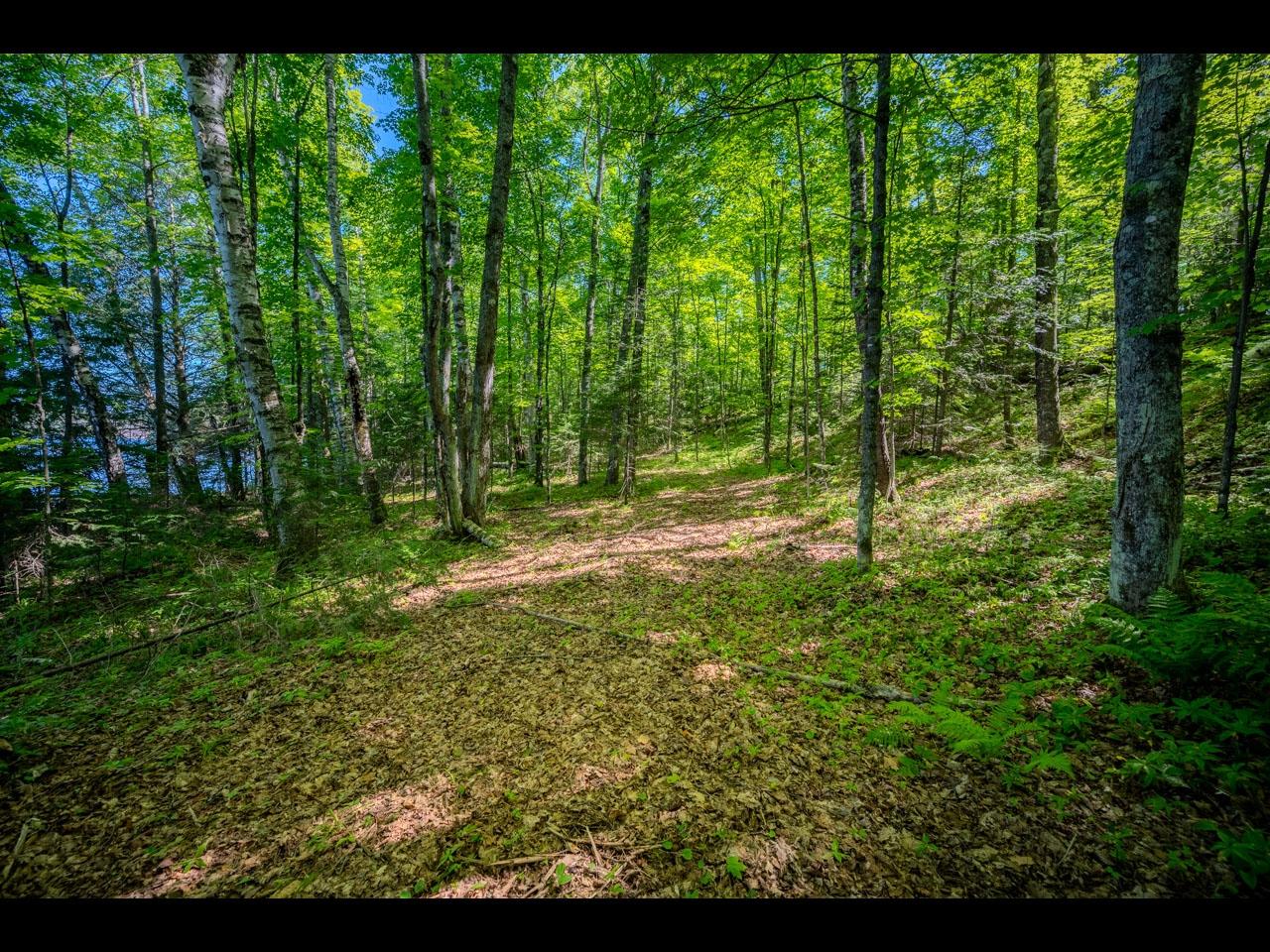 Lt 11-15 INDIAN LAKE RD