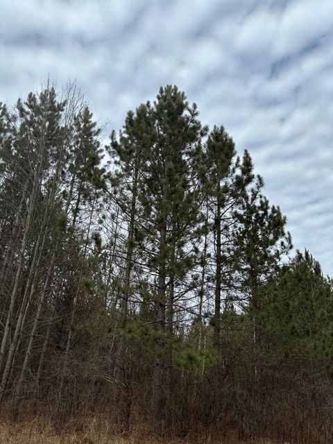 ON PRAIRIE RAPIDS RD Tract 2051  WI 54487