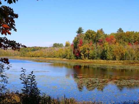 6064 CRAMER LAKE RD Mercer WI 54547