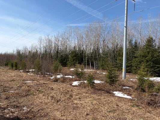 ON CTH F, PARK FALLS, WI 54552 - Image b9afb47a3f13b4c8d08e381de3b5aae7/2411527340
