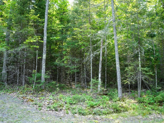 HUNTERS RD, PHELPS, WI 54554 - Image bb017cea01633185809e7eab6ce8a324/1571837340