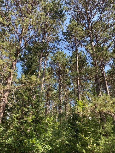 ON CENTRAL AVE W Tract 2037 Brantwood WI 54513