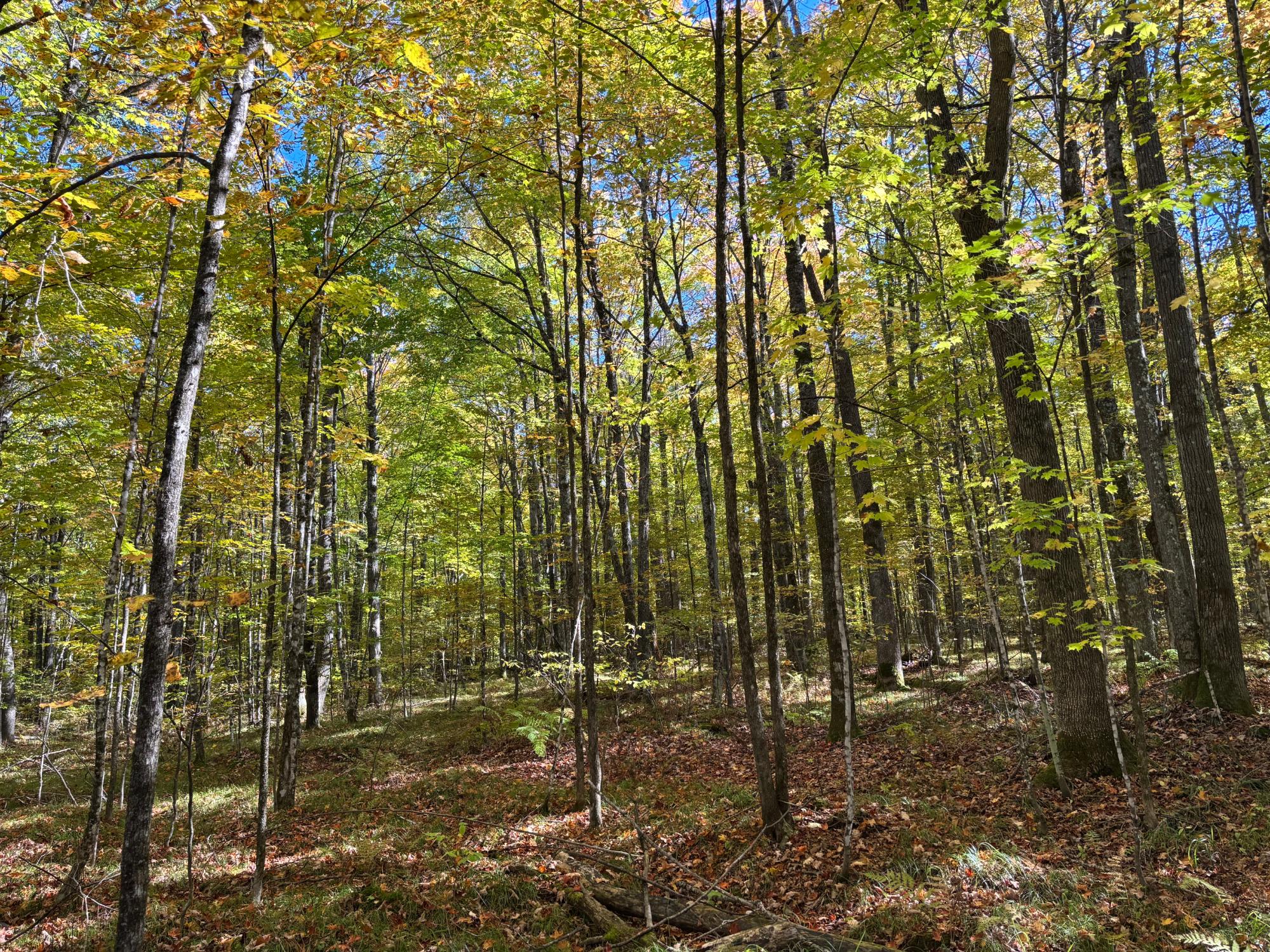 Lot 1 KENTUCK LAKE RD