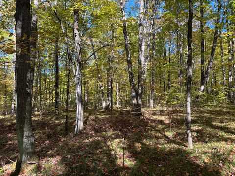 Lot 1 KENTUCK LAKE RD Phelps WI 54554