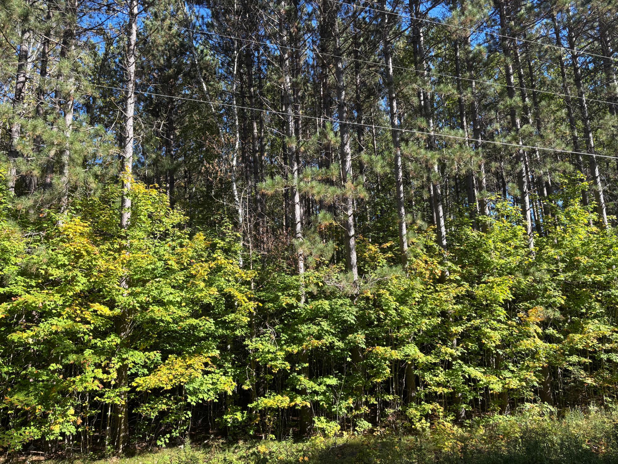 Lot 1 KENTUCK LAKE RD