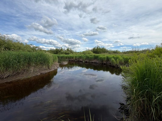 COUNTY RD M, MERRILL, WI 54452 - Image bc716f3cd174fcb0f9a719aeeba3e126/3992340932
