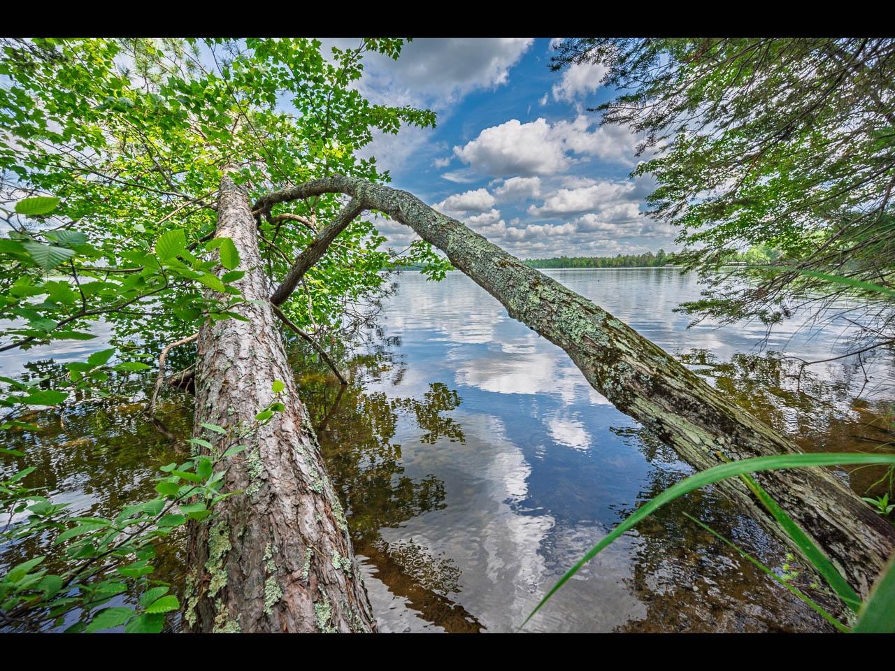 ON CLEARWATER LAKE TR 129-130