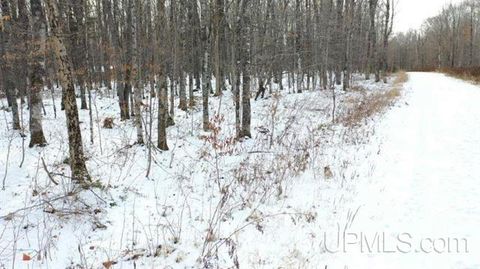 Lot 9 ELIZABETH LN Iron River MI 49935
