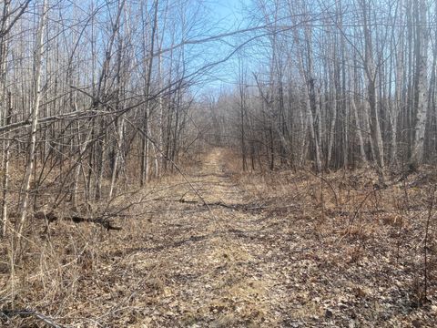 ON UP RIVER RD Phillips WI 54555
