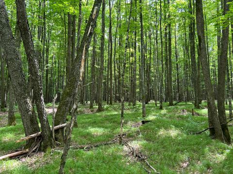 Lot 45 BIG CUB TR Laona WI 54541