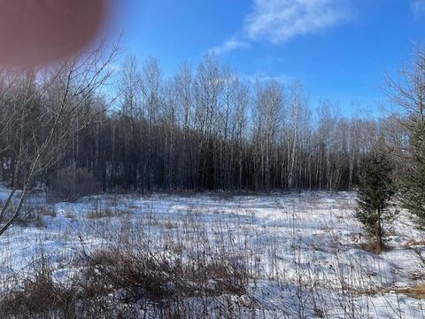 Lot 45 BIG CUB TR Laona WI 54541