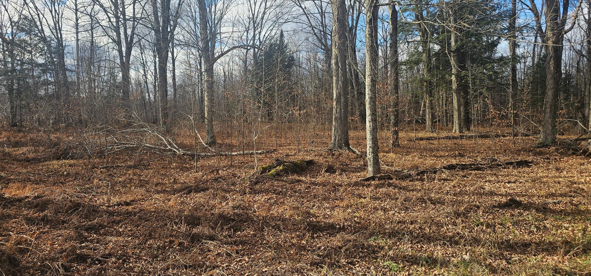 TBD CHIP N DALE DR 64