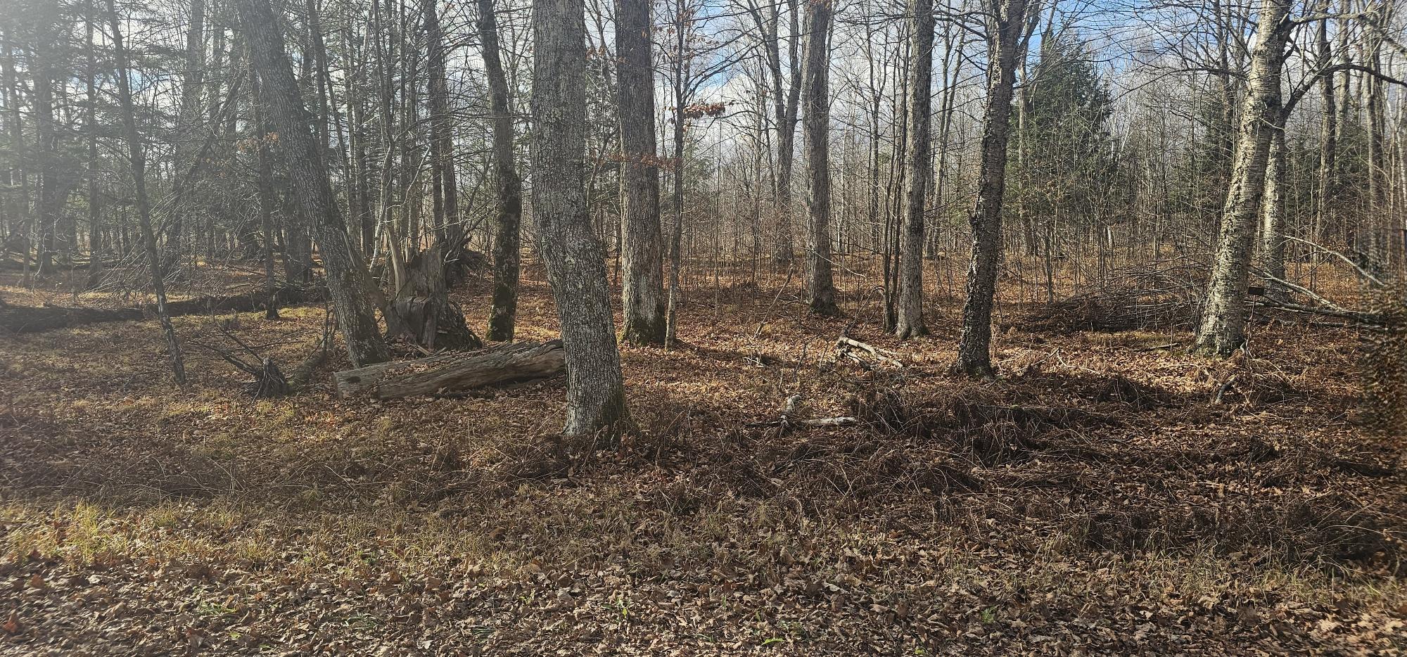 TBD CHIP N DALE DR 64