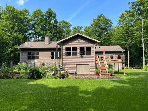 6209W FLAMBEAU DAM RD W Mercer WI 54547
