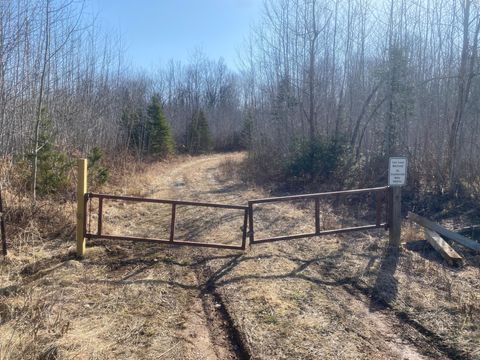 ON BUCKHORN RD Park Falls WI 54552